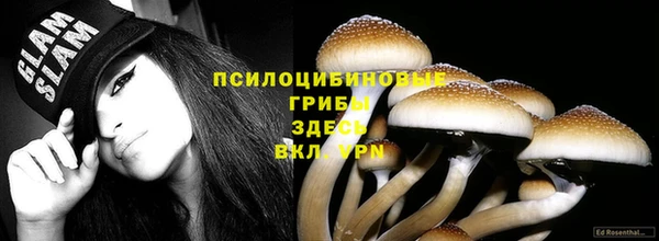 МДПВ Белоозёрский
