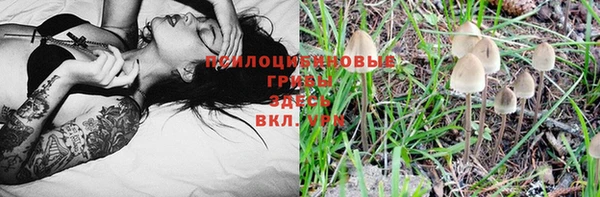 спиды Беломорск